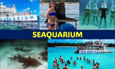 Excursion Seaquarium